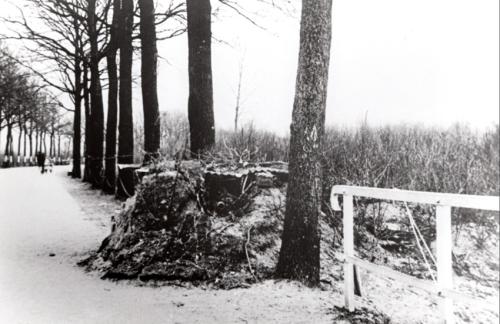 Naamgeving brug over de Poppelsche Ley in Goirle